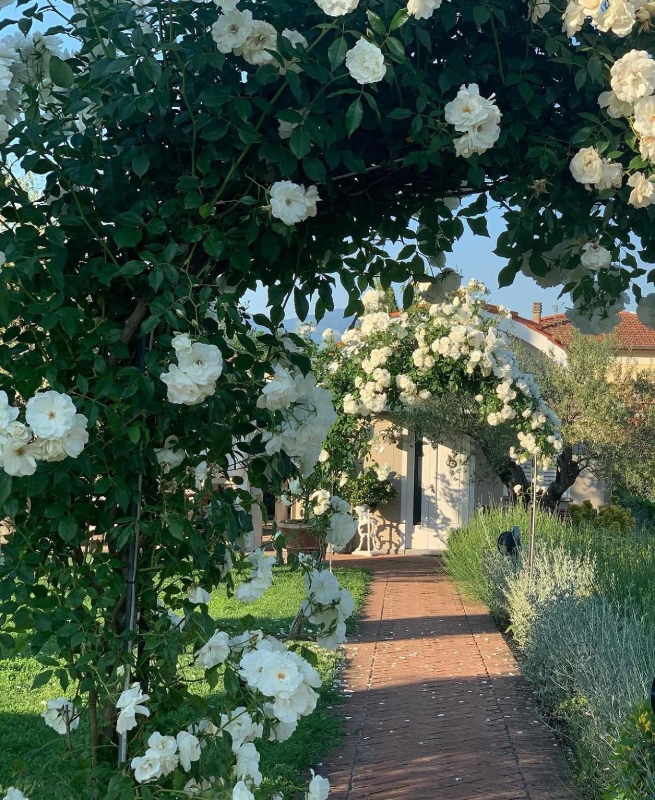 Casa Le Valli Cantagrillo Bagian luar foto